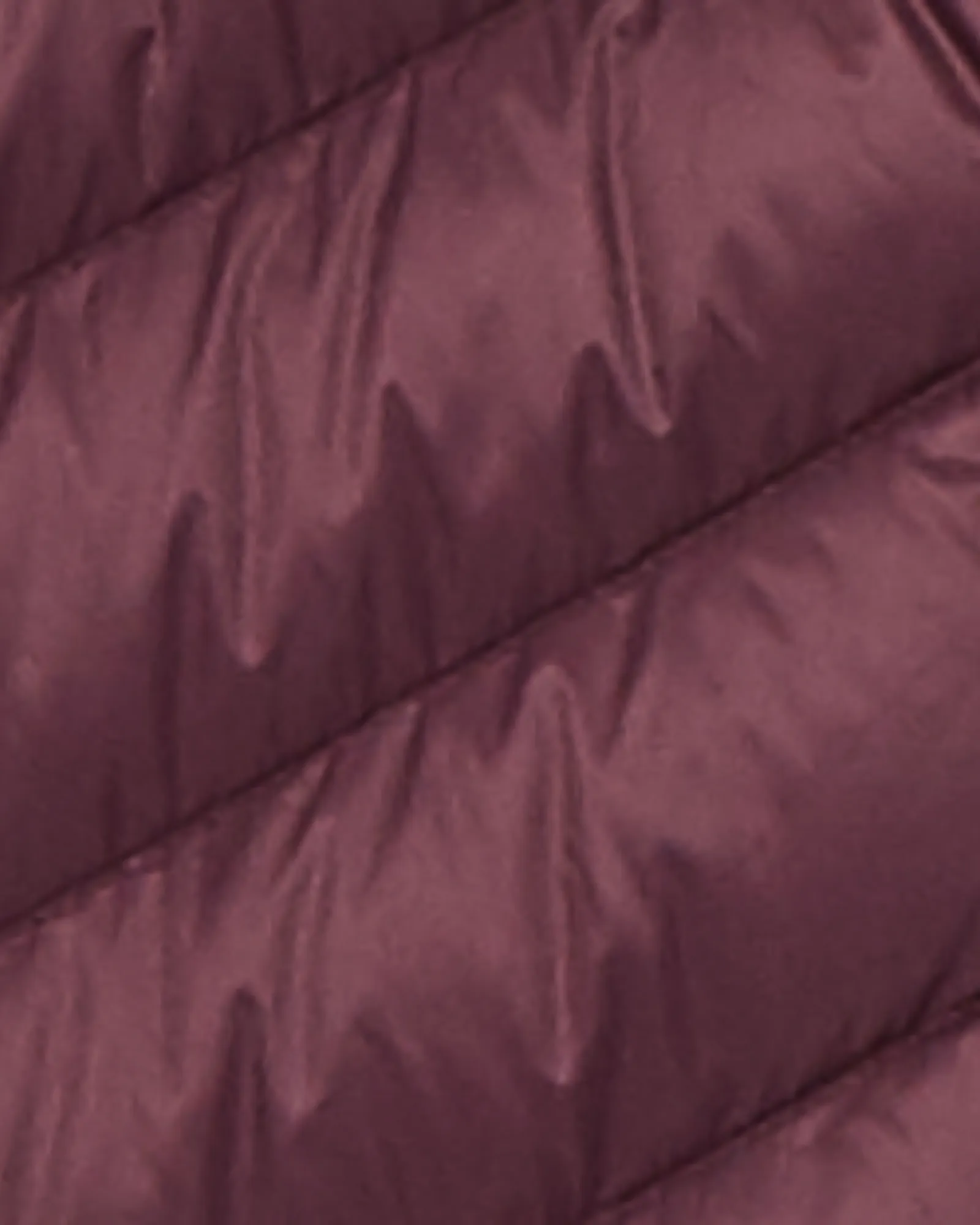 Arctic Nylon Coat | Purple