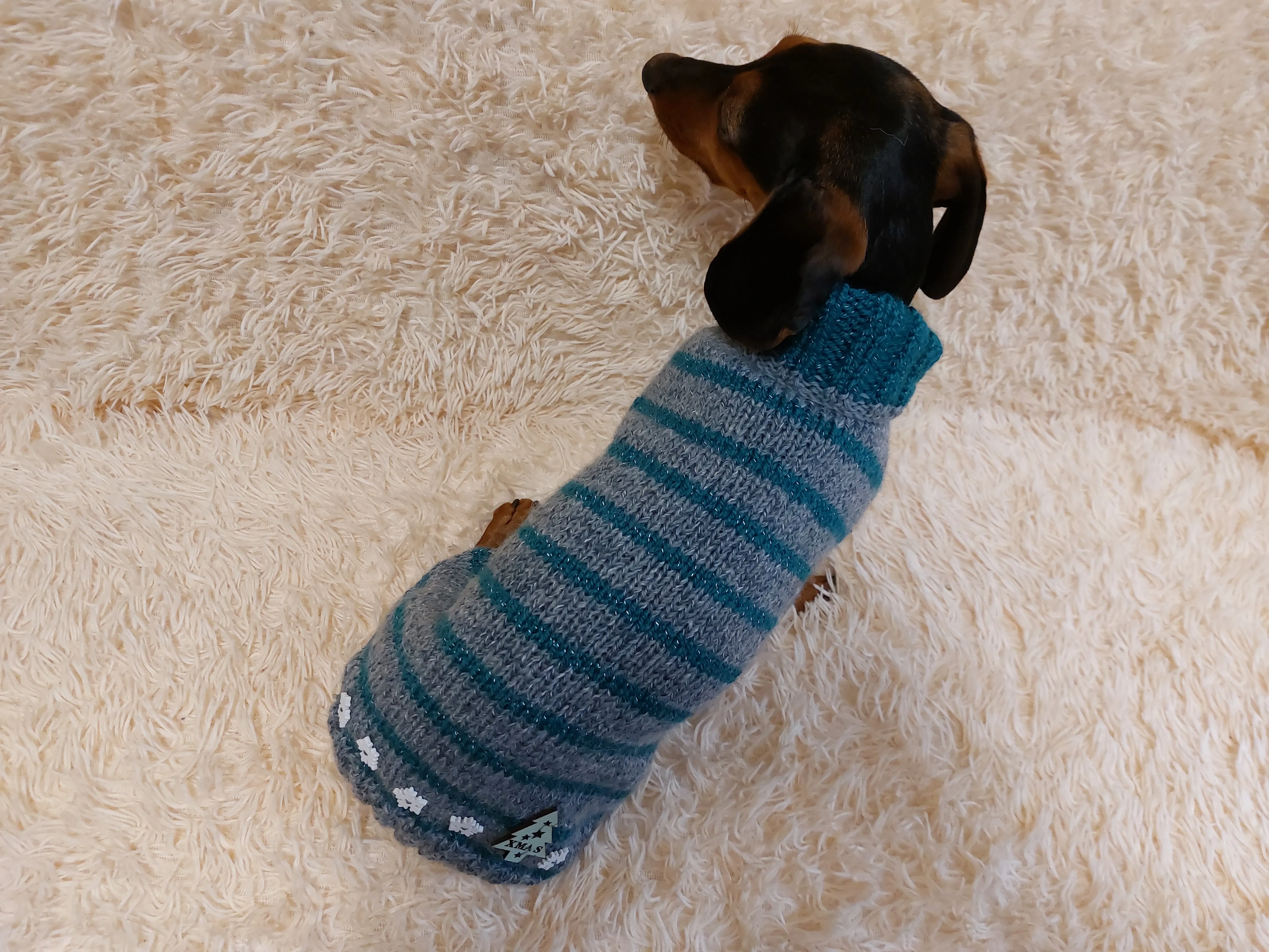 Christmas striped jumper for dachshund or small dog with wooden buttons