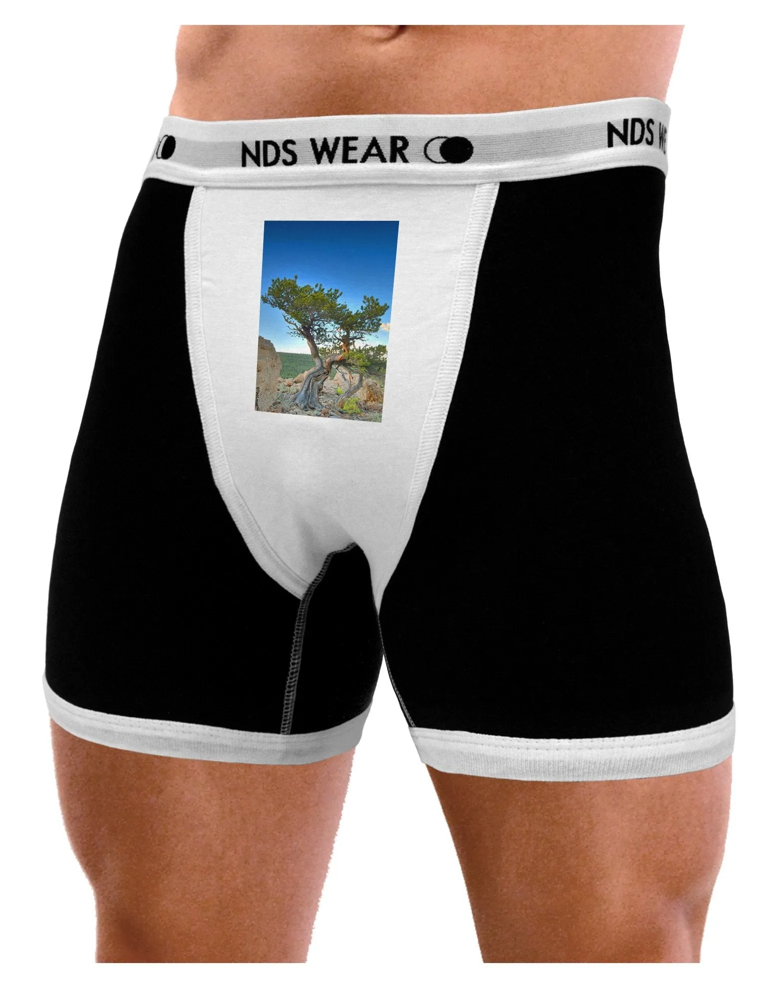 Colorado Landscape Tree Mens Boxer Brief Underwear