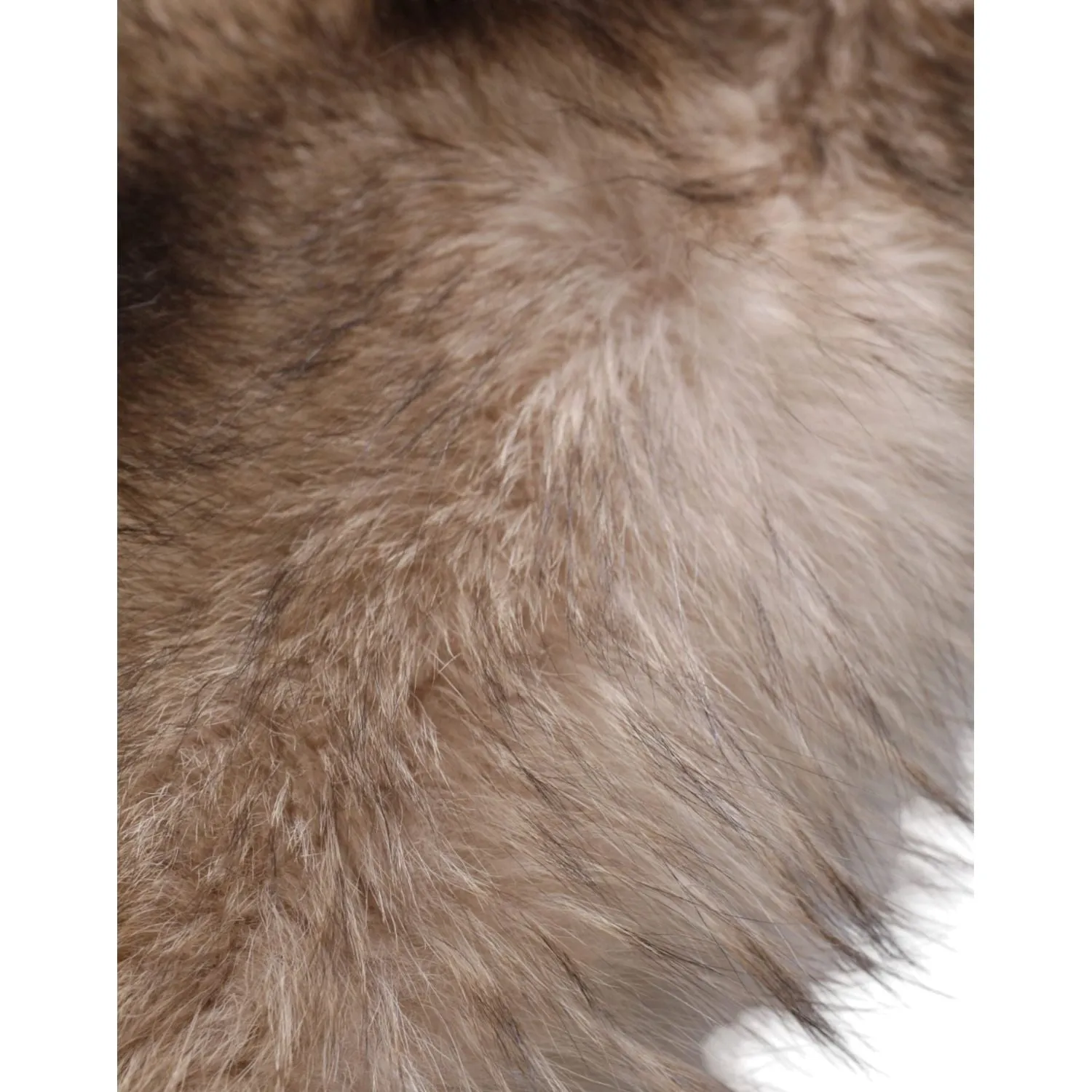 Dolce & Gabbana Brown Frost Fox Fur Neck Warmer Winter Scarf