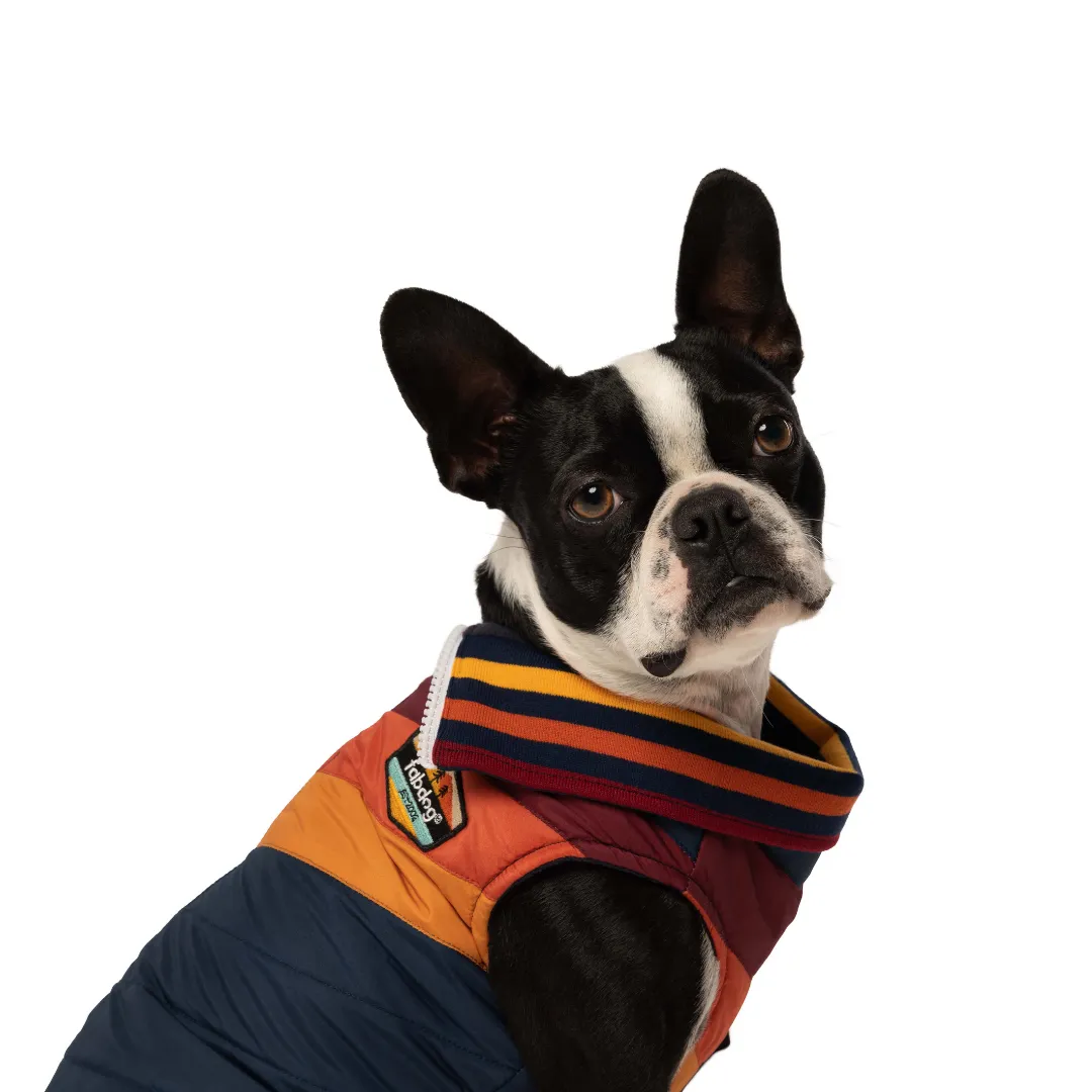 Fabdog Chevron Jacket