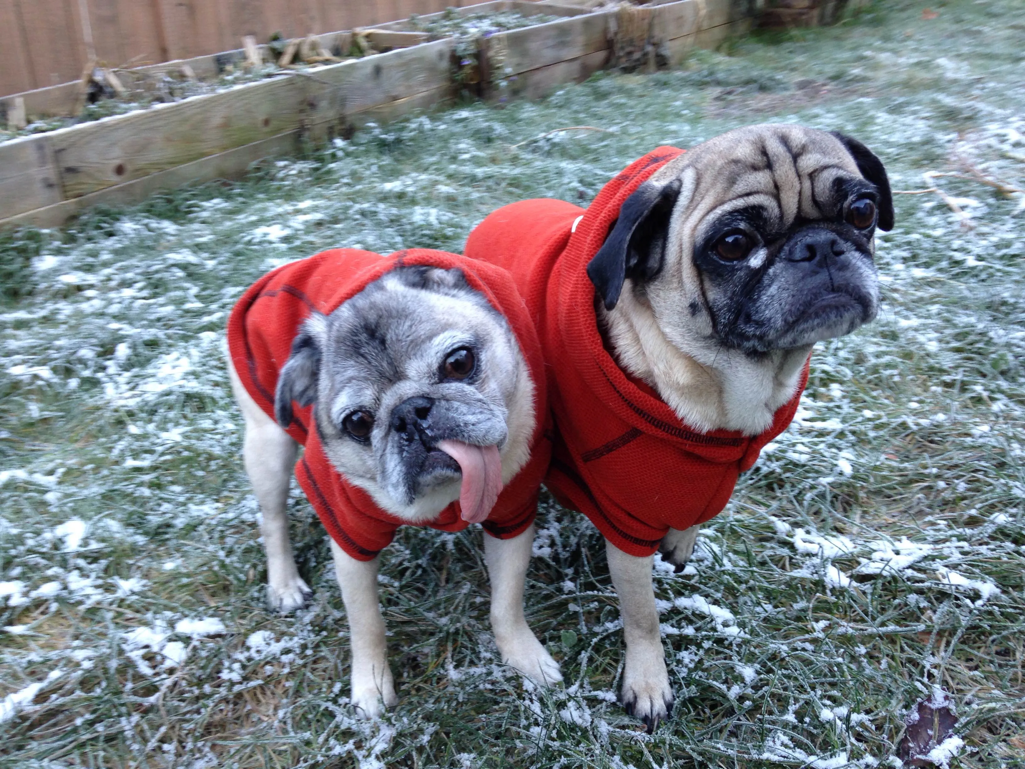 Honey Comb Calming Fleece Hoodie Jacket - Paprika