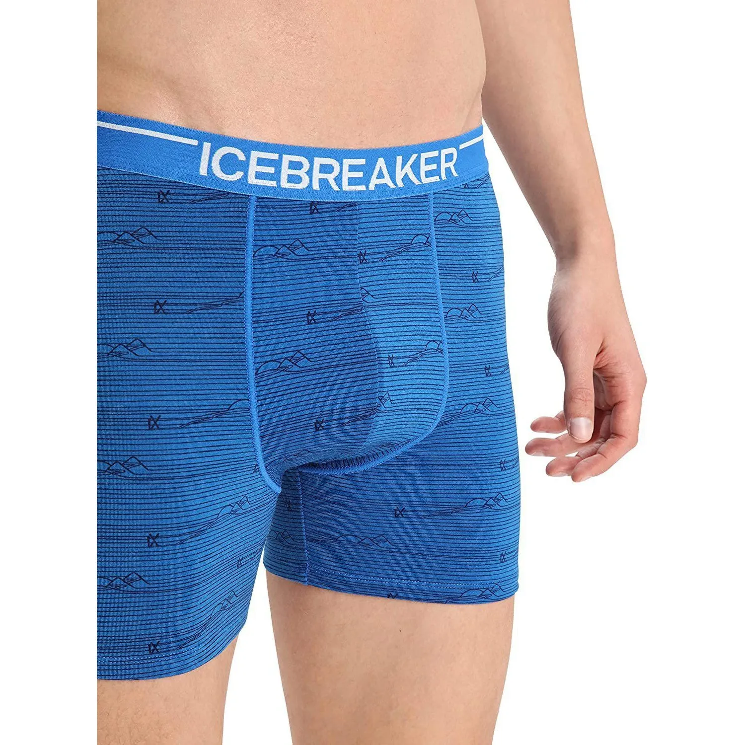 icebreaker Men's Anatomica Boxers